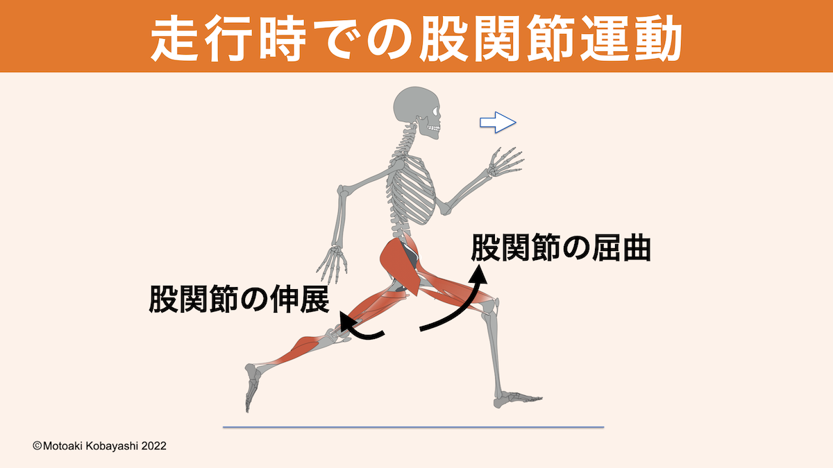 走行時での股関節運動